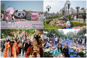 Доклад: Броят на починалите донори в Китай расте през 2024 г.