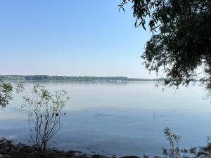 В Румъния с 41% на втори тур отива Джордже Симион.