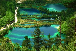 Ракети за Тайван като „дикобраз в стъклена кутия“: експерт