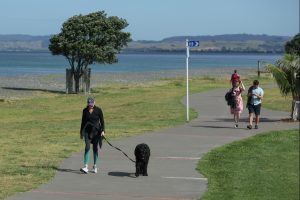 Нова Зеландия стимулира туризма с безвизов достъп за китайски посетители