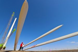 Доклад: Фирми, наемащи таланти със зелени умения