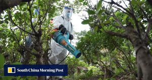 Китайските съдилища отчитат скок в морските дела, чуждестранни спорове