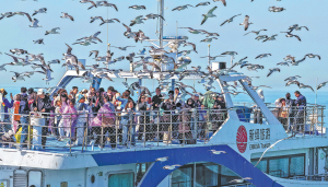 Фестивалът Qingming, пролетната ваканция стимулират нарастването на туризма